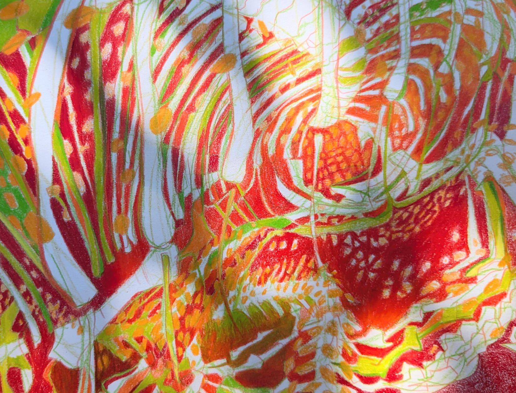 Lizard Skeleton colored pencil on paper, 2024