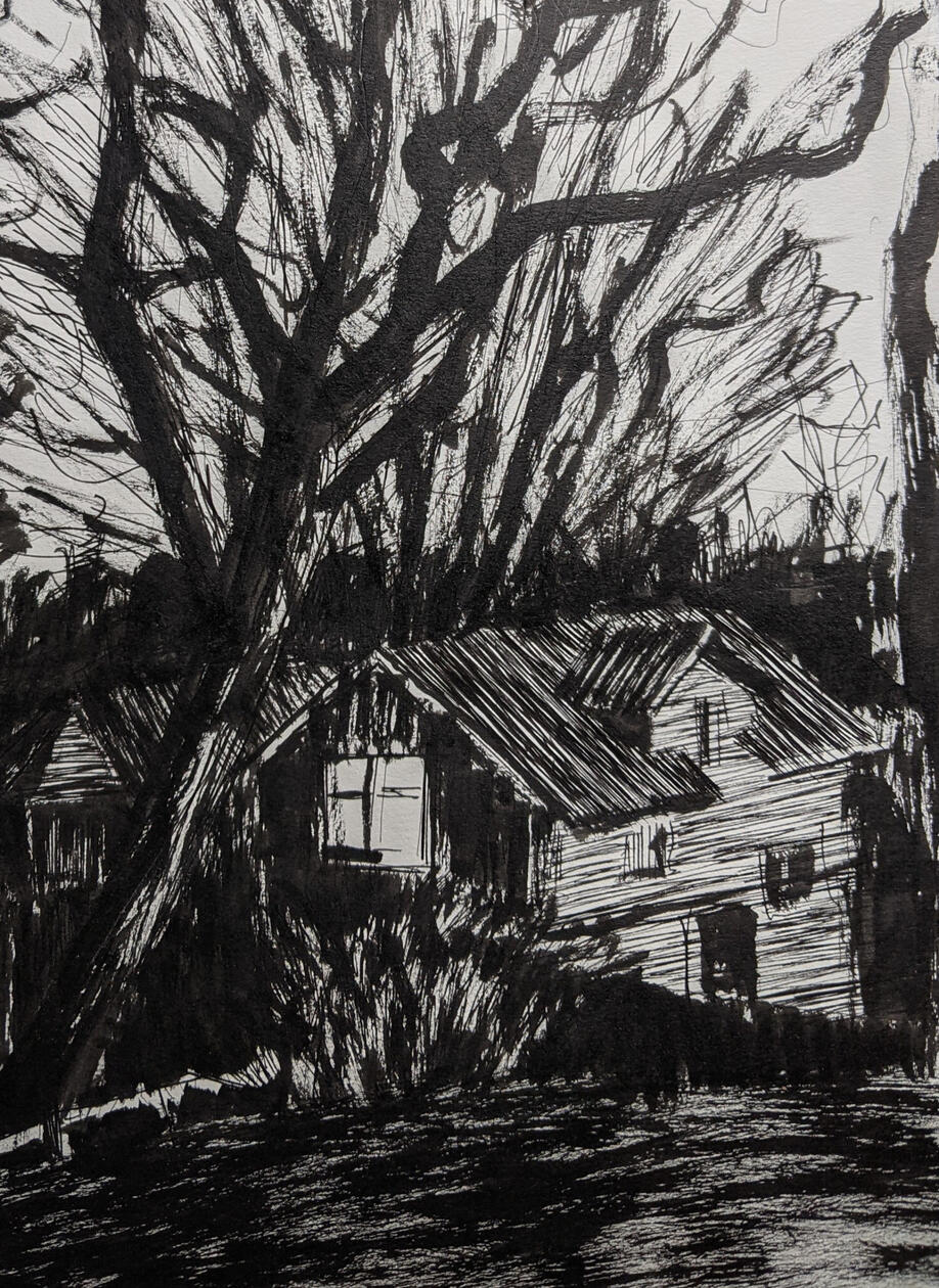 lily stelzer art drawing